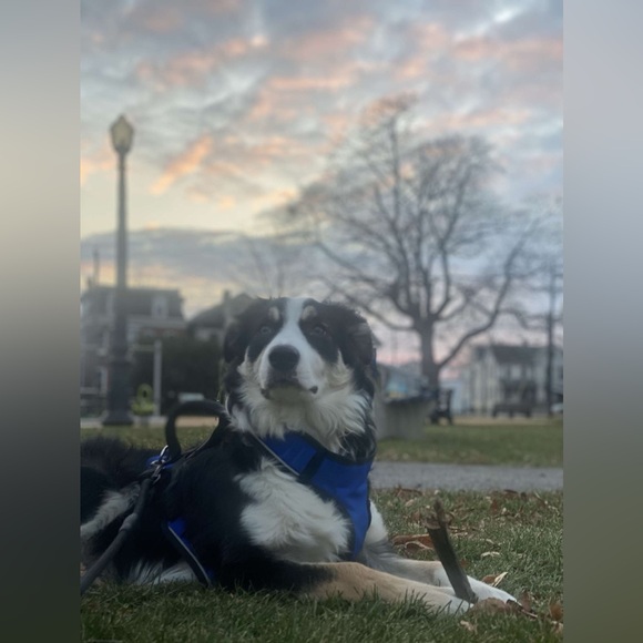 Meet your Posher, Lorena - Picture 2 of 2